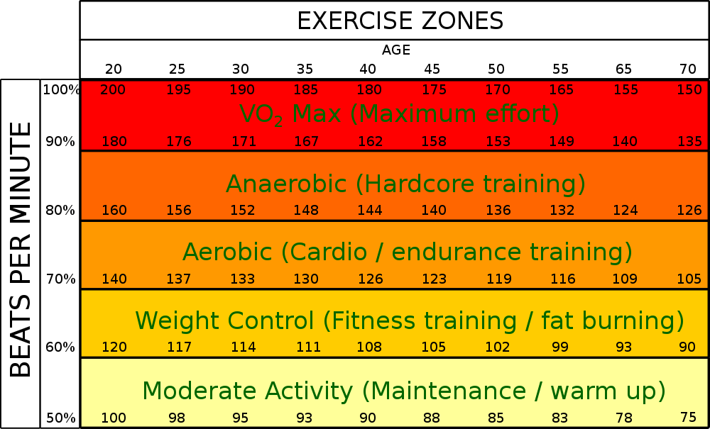 heart rate fat burning